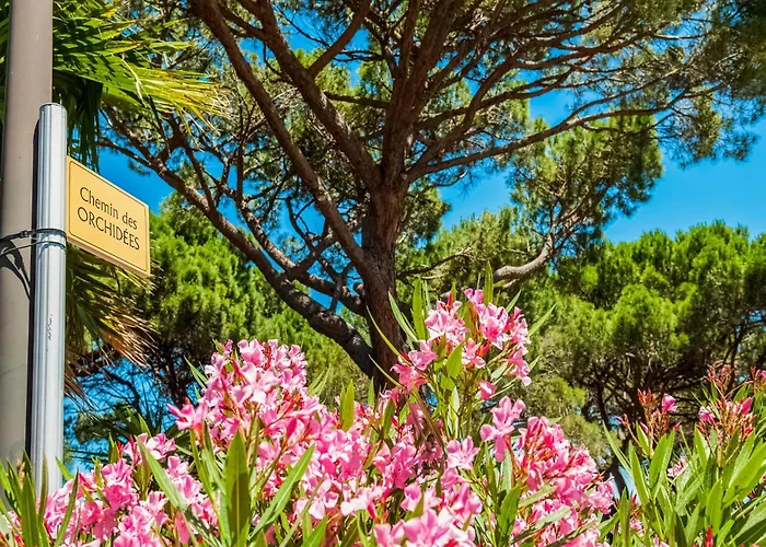 بيت للعطل In Gassin Near Saint Tropez *