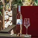 In Gassin Near Saint Tropez